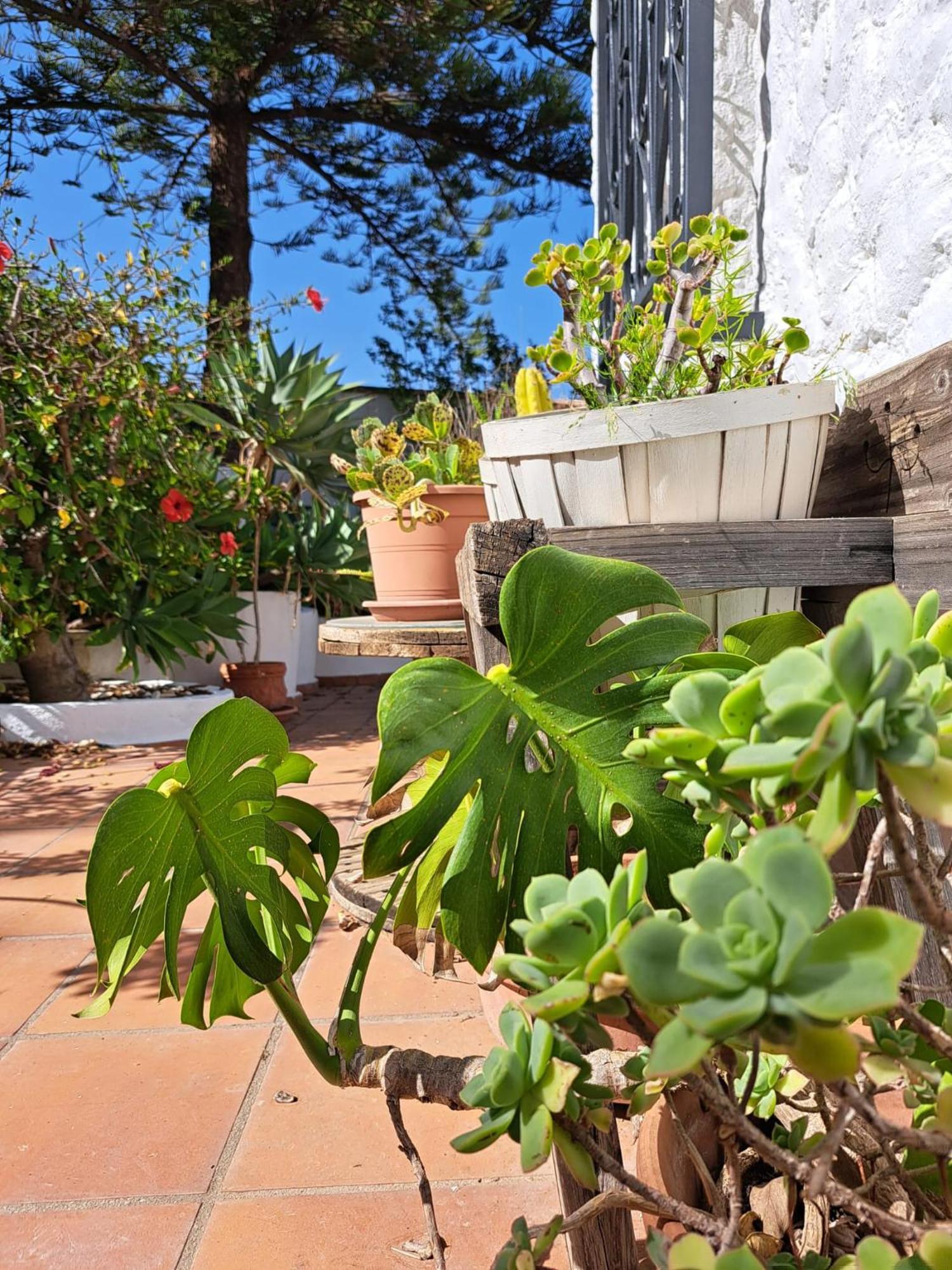 Casa Campo Mijas Costa Del Sol مالقة المظهر الخارجي الصورة